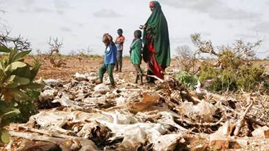 ​في حصيلة هي الأولى رسميا.. الأمم المتحدة تُعلن وفاة 43 ألف شخص في الصومال جراء الجفاف